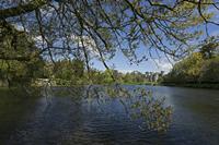 Cjp_2017-04-25_093356.jpg