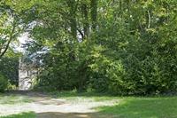 Cjp_2017-04-25_093856.jpg