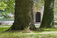 Cjp_2017-04-25_102442.jpg