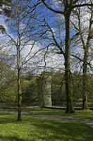 Cjp_2017-04-25_102500.jpg