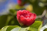 Cjp_2017-04-25_132028.jpg