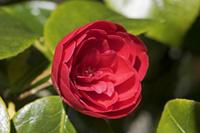 Cjp_2017-04-25_132226.jpg