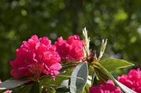 Cjp_2017-04-25_132928.jpg