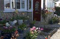 Cjp_2017-04-25_153456.jpg