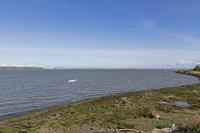 Cjp_2017-04-26_090910.jpg