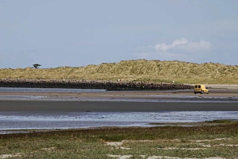 Cjp_2017-04-26_122036.jpg