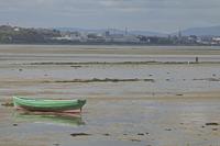 Cjp_2017-04-26_120830.jpg