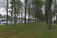 Cjp_2017-04-28_045236.jpg