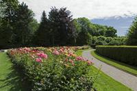 Cjp_2017_06_10_093400.jpg