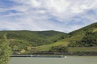 Cjp_2017_06_12_091458.jpg