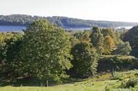 Cjp_2017_09_25_121600.jpg