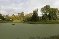 Cjp_2017_10_05_061954.jpg