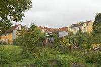 Cjp_2017_10_09_110126.jpg
