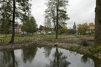 Cjp_2017_10_09_110442.jpg