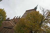 Cjp_2017_10_09_145114.jpg