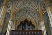 Cjp_2017_10_10_060018.jpg