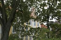 Cjp_2017_10_10_072320.jpg
