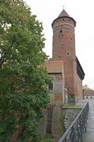 Cjp_2017_10_10_072800.jpg