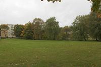 Cjp_2017_10_10_105930.jpg
