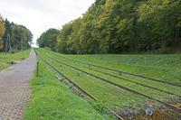 Cjp_2017_10_10_124530.jpg