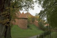 Cjp_2017_10_11_075532.jpg