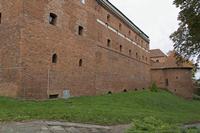 Cjp_2017_10_11_075620.jpg