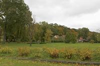 Cjp_2017_10_11_090944.jpg