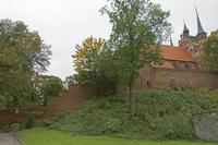 Cjp_2017_10_11_091904.jpg