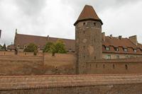 Cjp_2017_10_11_124510.jpg