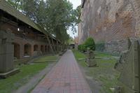 Cjp_2017_10_11_130724.jpg