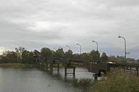 Cjp_2017_10_11_134816.jpg
