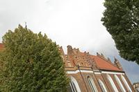 Cjp_2017_10_12_122936.jpg