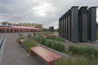 Cjp_2017_10_13_062422.jpg