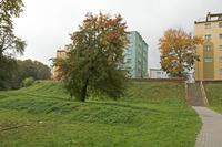Cjp_2017_10_14_115908.jpg