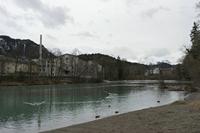 Cjp_2018_03_07_151458.jpg