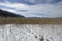 Cjp_2018_03_08_113246.jpg