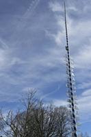 Cjp_2018_03_08_124850.jpg