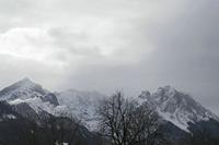 Cjp_2018_03_09_121318.jpg
