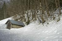 Cjp_2018_03_09_145454.jpg
