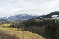 Cjp_2018_03_12_154018.jpg