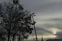 Cjp_2018_04_05_052510.jpg