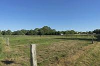 Cjp_2018_06_07_060530.jpg