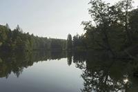 Cjp_2018_10_08_144502.jpg
