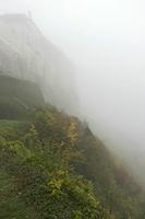 Cjp_2018_10_09_060256.jpg
