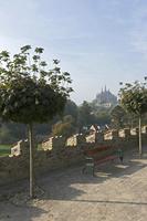 Cjp_2018_10_09_082152.jpg