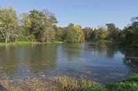 Cjp_2018_10_14_123316.jpg