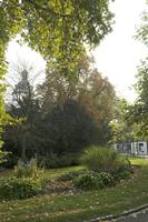 Cjp_2018_10_18_071244.jpg