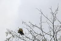 Cjp_2019_01_12_142651.jpg