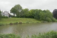 Cjp_2019_06_13_051310.jpg