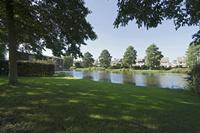 Cjp_2019_09_12_141838.jpg